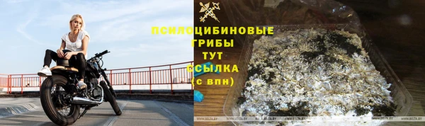 каннабис Богданович