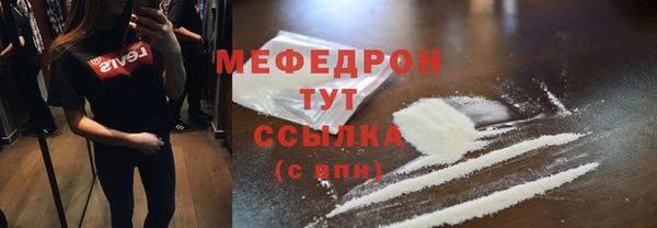 spice Богородск