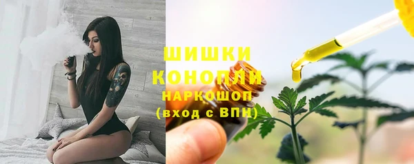 spice Богородск
