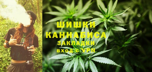 каннабис Белокуриха