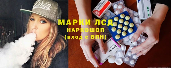 spice Богородск