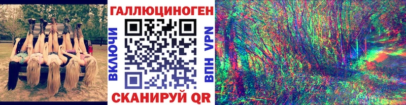 Псилоцибиновые грибы мицелий  Гудермес 